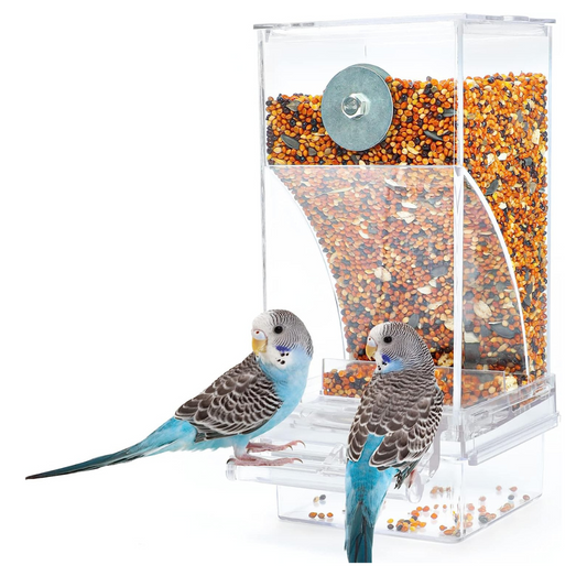 Transparent Bird Feeder